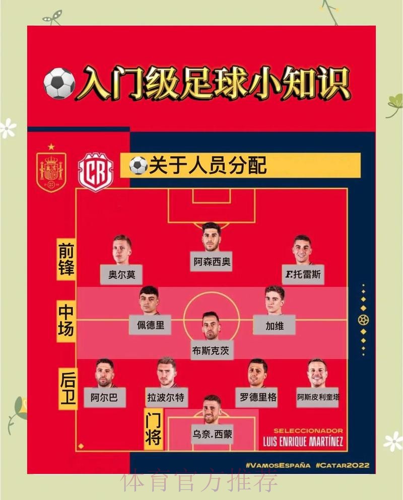 深度解析：获取世界杯比分技巧的入口地址指南
